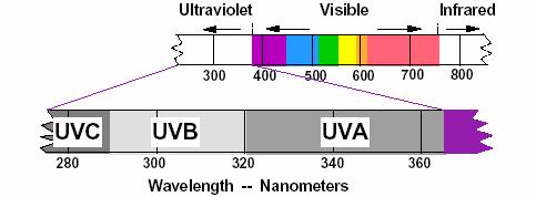 The Ultraviolet The UV is usually broken up into three regions, UVA (320-380 nm), UVB (290-320 nm), and UVC