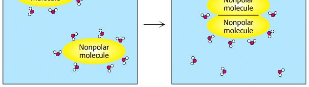 Hydrophobic "Interactions" hydrophobic effect, the "oil drop" effect Nonpolar molecules (the system) cannot interact with H 2 O (the surroundings) by H-bonds or ionic interactions.
