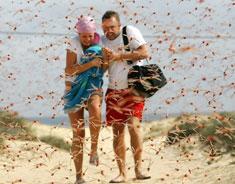 Climate Change???????????????? Tourists run through a swarm of pink locusts near Corralejo, on the Canary Island of Fuerteventura, yesterday.