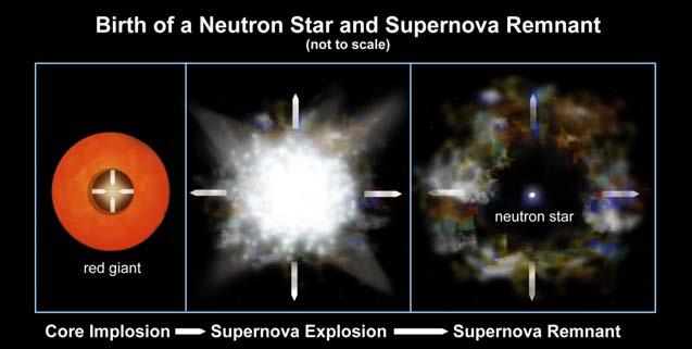 SupernovaTypes Core-collapse or type II supernova