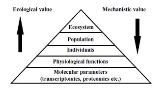evolution for the study of non-model species (Pavlopoulos et al., 2013).