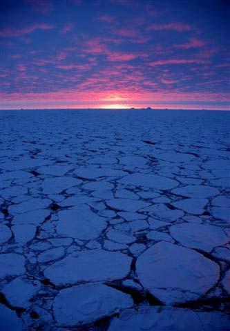 Arctic Ocean Sea ice is a thin layer of ice, formed from ocean water, that floats on its surface.
