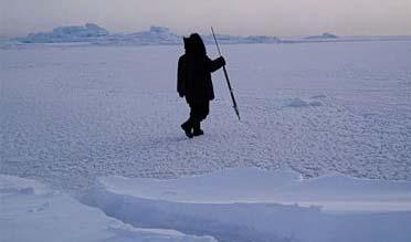 Arctic native indigenous people depend on the sea ice for hunting, fishing, and traveling.