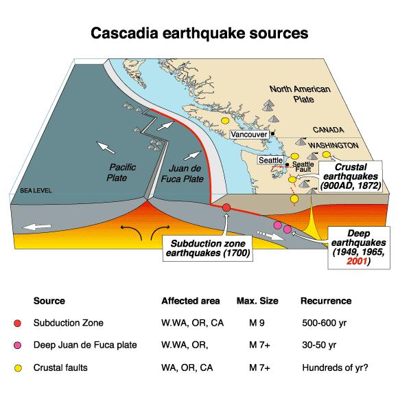 Cascadia Earthquakes Caused