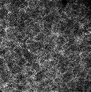 The Universe on Very Large Scales Clusters of galaxies are