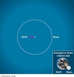 # 6 Earth s orbit around the Sun Average Distance Sun Earth = 150,000,000 km Scale: 1.