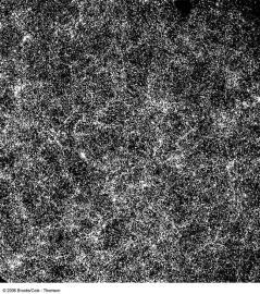 #13 - Large Scale Structure Clusters of galaxies are grouped into superclusters. Superclusters form filaments and walls around voids. Scale: 500 Mpc 16.