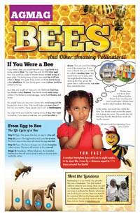 Bee Ag Mag: The Bee Ag Mag is a great way to incorporate agriculture into a science or literature classroom. This 100% standards aligned nonfiction text covers topics such as: How is honey made?