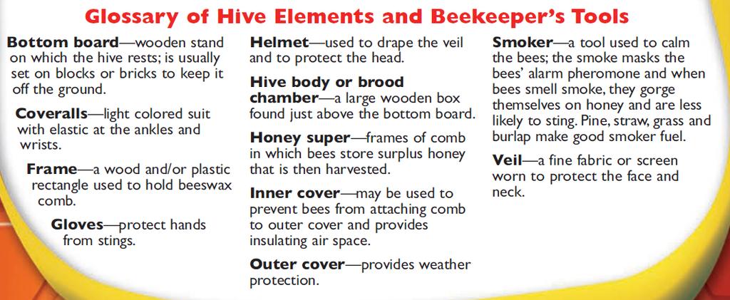Get the Buzz on Beekeeping Taken from http://www.scholastic.