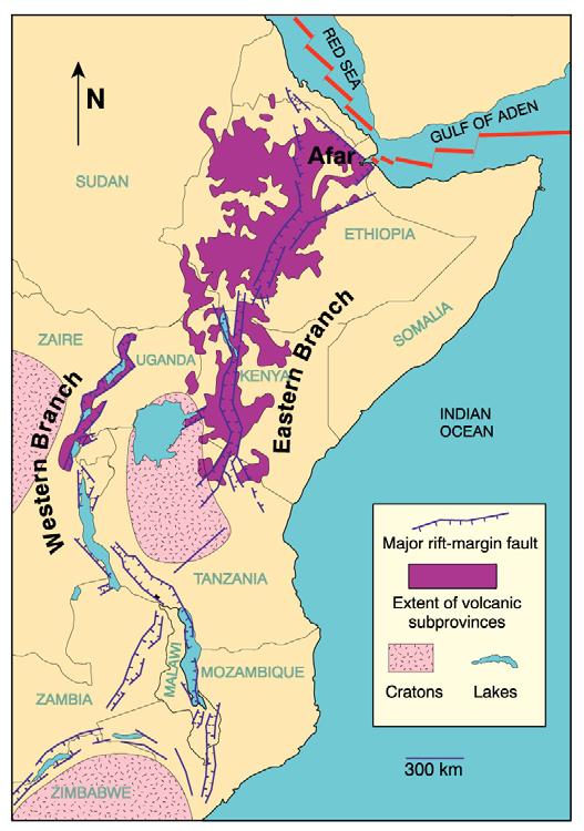 Continental Alkaline Magmatism. The East African Rift What else have we found in the East African Rift? Figure 19-2.