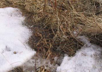 when the soil surface is severely disturbed or frozen, but such cases are rare.