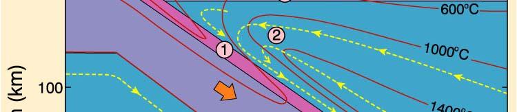 Lithospheric mantle of subducting plate 5.