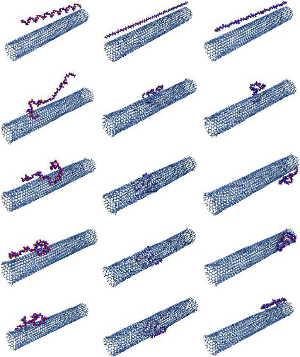 Braz J Phys (2015) 45:10 18 13 0ps 10ps 30ps 50ps 100ps Polyglycolide Poly(ethylene oxide) (c) Polyketone Fig. 3 Snapshots of polymer chains along the SWCNT at different time steps. a Polyglycolide.