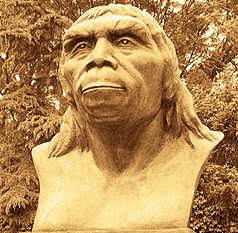 The discovery of Peking Man also enabled one to solve the long-lasting polemics that had continued since the discovery of Java man in the 19th century and proved that Homo erectus evolved