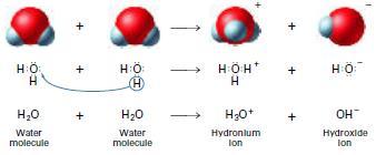HYDROGEN IONS AND ACIDITY Water molecules are highly polar and are moving constantly.