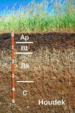 Typical Eastern SD Soil Appearance Horizons Organic Matter