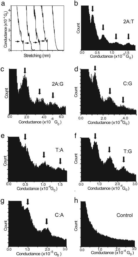Fig. 3. DNA conductance data. (a) Several representative curves that occur during the stretching of the STM break junction.