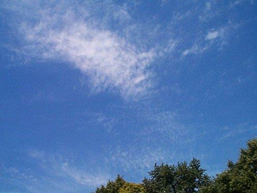 Cirrocumulus (Cc): thin, white sheet or patch without shading composed of very small ripples,