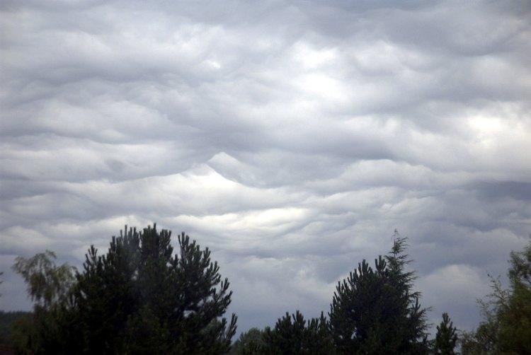 Stratocumulus (Sc): low, gray-white, patch or layer with elements, rolls or rounded masses