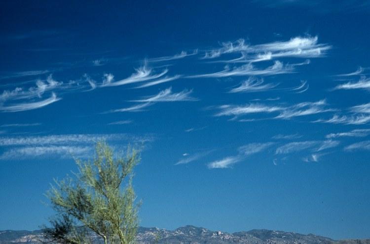 Cirrus (Ci): detached, white, filaments or patches with fibrous appearance or silky sheen