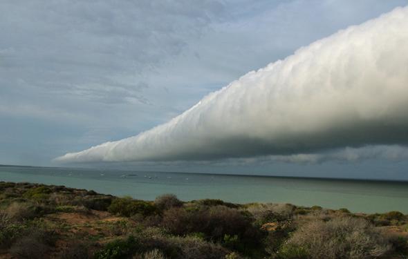 Roll cloud: relatively rare type of arcus cloud.