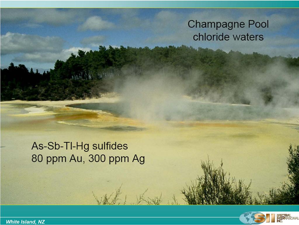 The Champagne Pool is well-known for actively precipitating gold in colorful deposits around its edges. According to Pope et al.