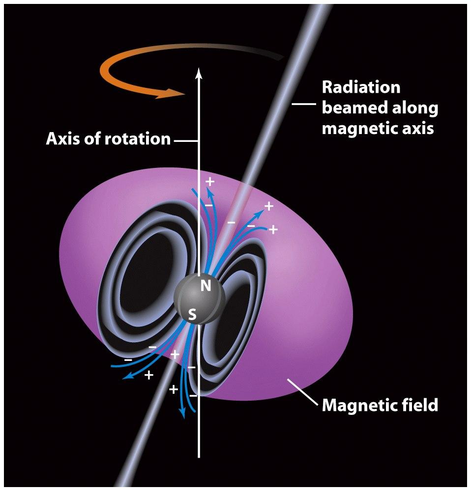 Pulsars are rapidly rotating neutron stars with intense magnetic fields A pulsar is a source of periodic pulses of