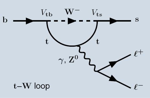 B 0 K* 0 μ + μ - Hadron decays H b H s μ + μ - sensitive to new physics via angular distribution B 0