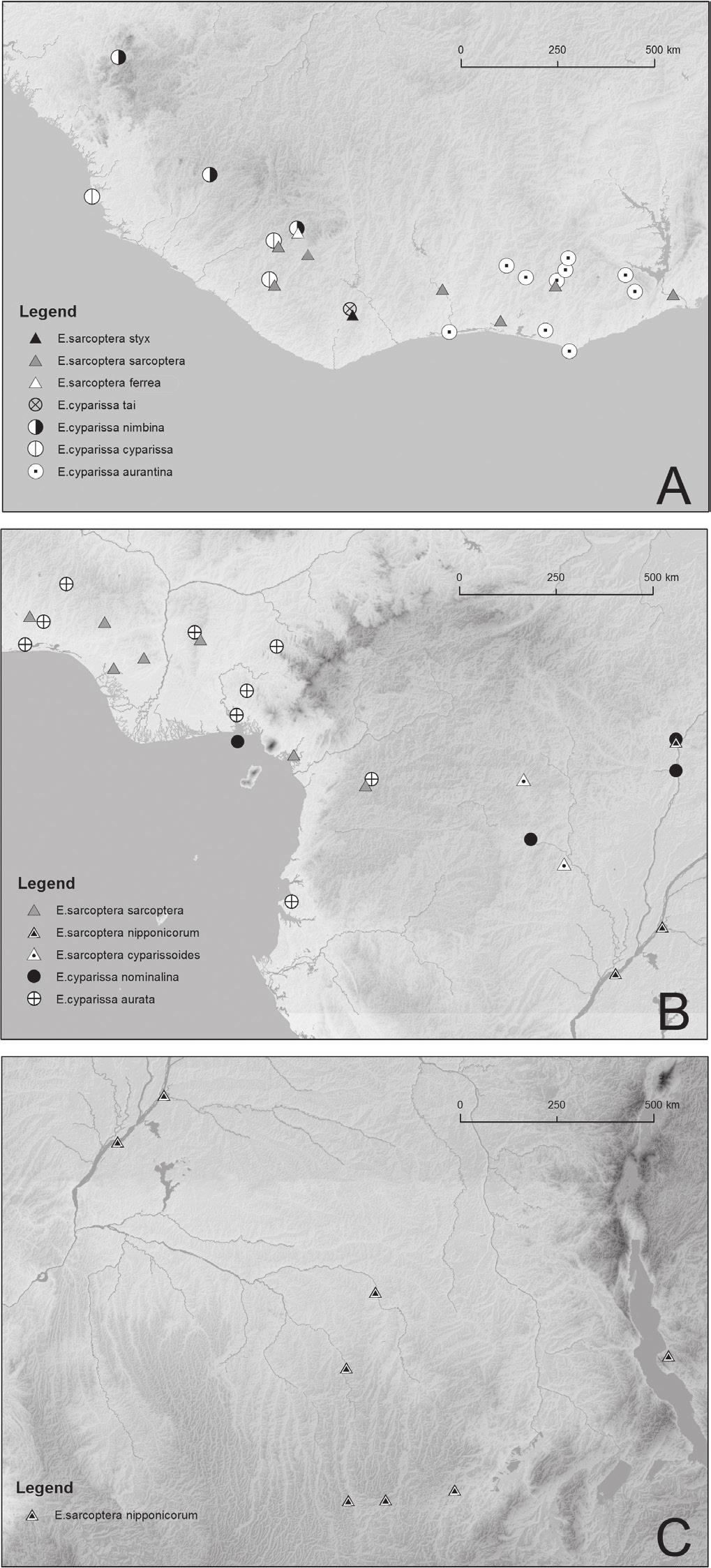 Taxonomy and distribution pattern of the African rain forest butterfly genus Euphaedra... 31 Figure 13.