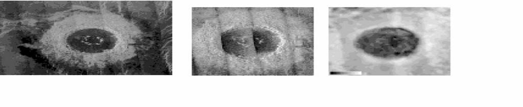 1572 R. R. Herrick and N. K. Forsberg-Taylor a b c Fig. 15. Venusian craters 4060 km in diameter that show increasing ejecta asymmetry.