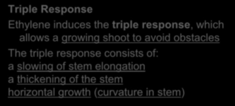 slowing of stem elongation a thickening of the stem horizontal growth