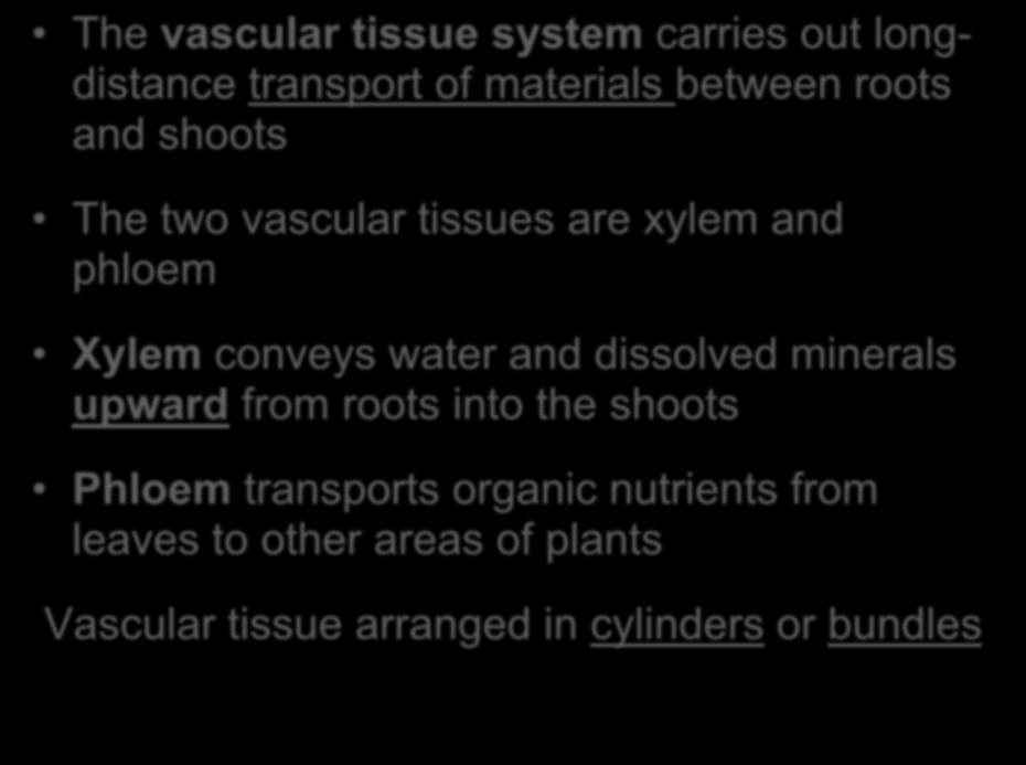 The vascular tissue system carries out longdistance transport of materials between roots and shoots The two vascular tissues are xylem and phloem Xylem conveys water and