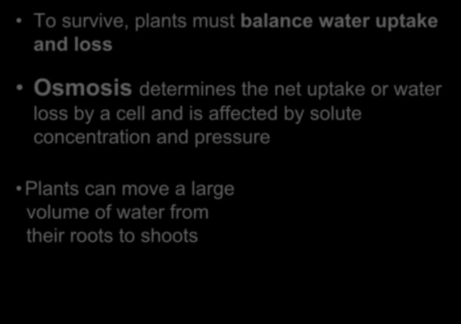Diffusion of Water (Osmosis) To survive, plants must balance