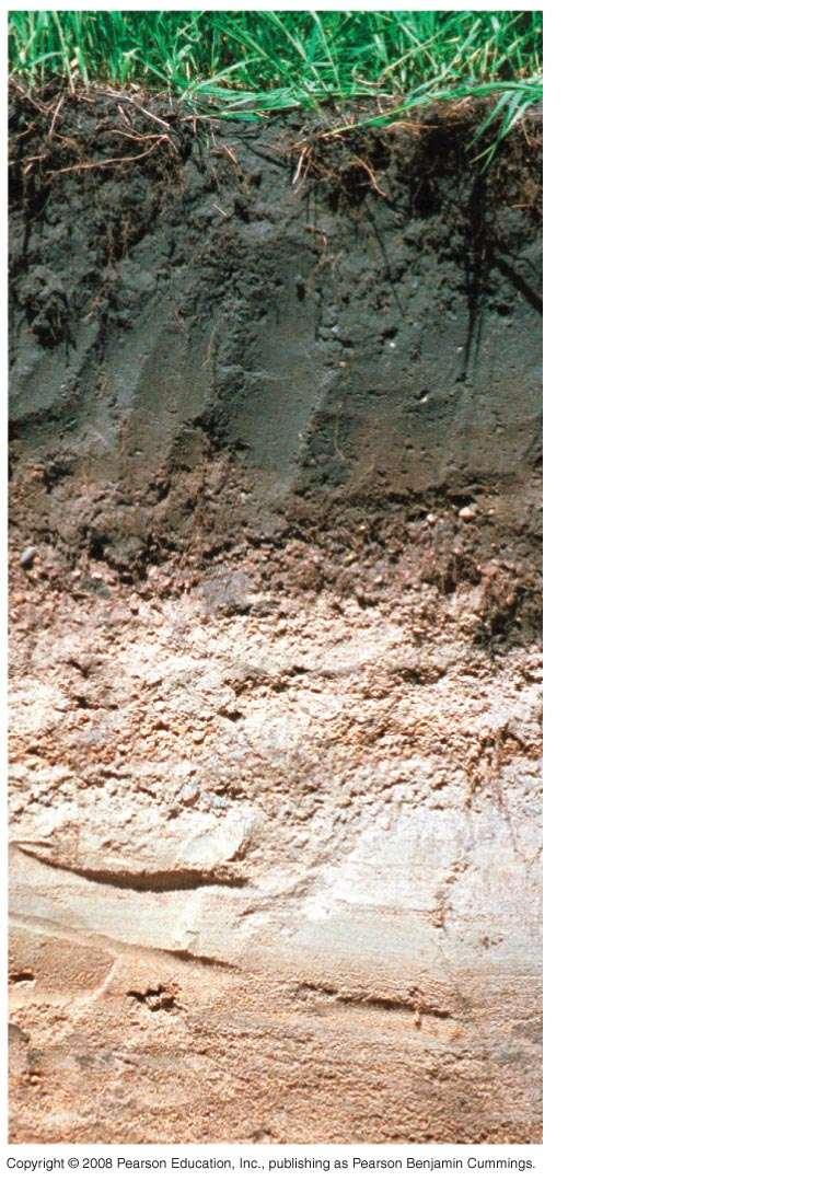 Fig. 37-2 topsoil