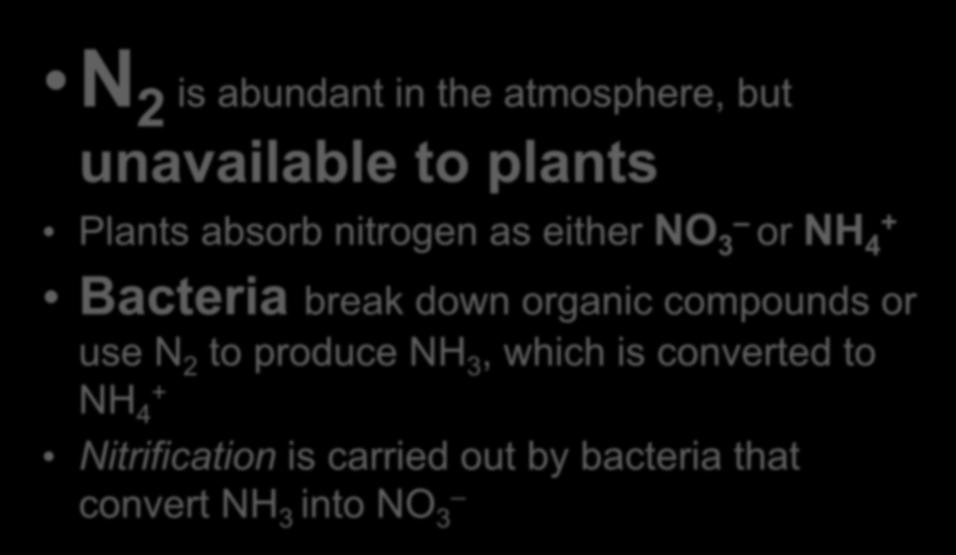 N 2 is abundant in the atmosphere, but unavailable to plants Plants absorb nitrogen as either NO 3 or NH 4 + Bacteria break down organic compounds or use N 2 to produce