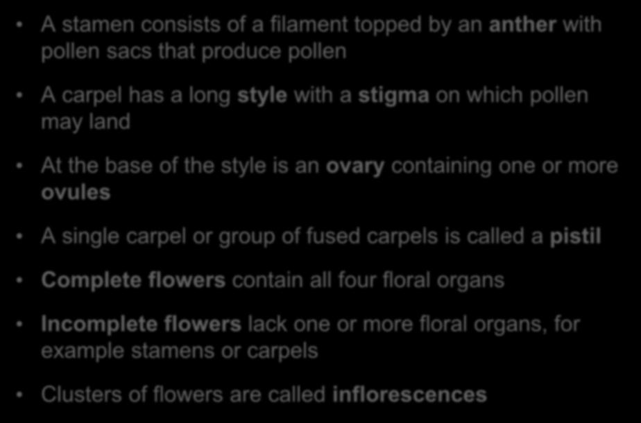A stamen consists of a filament topped by an anther with pollen sacs that produce pollen A carpel has a long style with a stigma on which pollen may land At the base of the style is an ovary