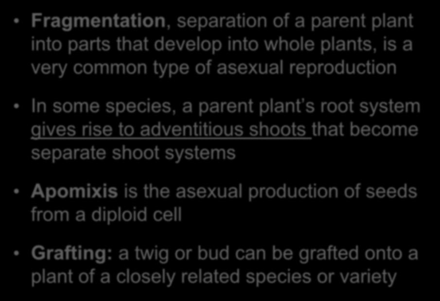 Mechanisms of Asexual Reproduction Fragmentation, separation of a parent plant into parts that develop into whole plants, is a very common type of asexual reproduction In some species, a parent plant