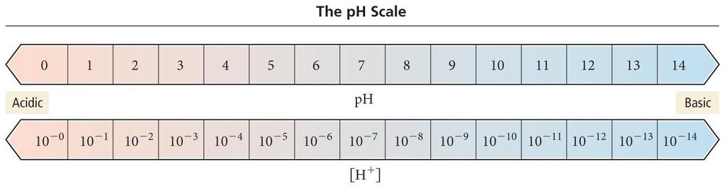 ph SCALE The relationship of ph scale and the [H 3 O + ] are summarized below: Examples: 1. Obtain the ph corresponding to a hydroxide-ion concentration of 2.7 x10 10 M. [H 3 O + ] = ph = 2.