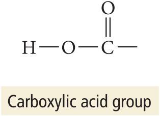 Acetic acid is an organic acid that contains the carboxylic acid group,