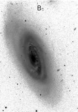 Cluster spiral, NGC4569
