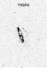 2006) Field spiral, M33