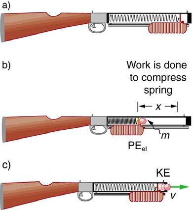 CHAPTER 16 OSCILLATORY MOTION AND WAVES 553 Figure 16.7 (a) In this image of the gun, the spring is uncompressed before being cocked.