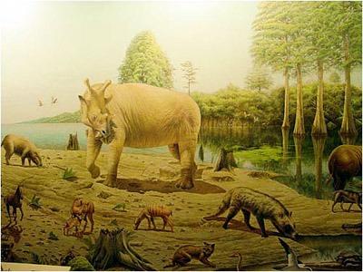Phanerozoic period 542 million years ago Phanerozoic Eon (from Greek fanerò = visible and zoe= animal ) The Phanerozoic Eon is divided into 3 ERAS Paleozoic Mesozoic Cenozoic 540 250 250 65 65 today