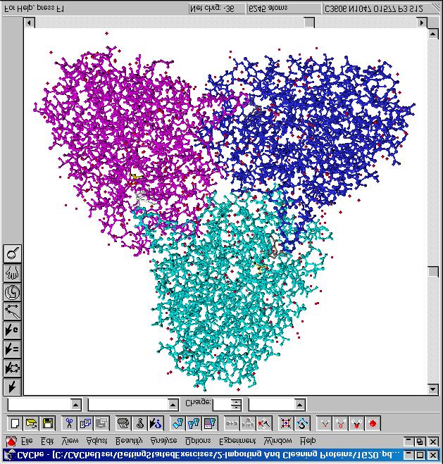 Importing proteins water molecules all remain red.