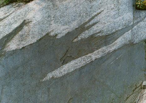 15 Fig. 11. Deformed, discontinuous, thick, amphibolite layer, offsetting portions of the granitic layers. West side of Wanup pluton on south side of Route 69.
