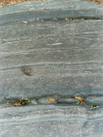 9 Fig. 6. Layered biotite-hornblende diorite at north end of Wanup pluton, looking north.