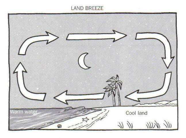 pressure as you increase your elevation Air Currents - Wind - Wind blows from areas of pressure to areas of pressure Sea Breeze - Wind blows