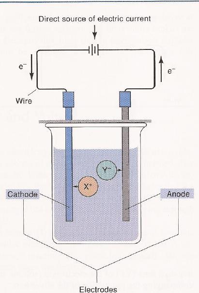 The electrolyte contains: cations and anions.
