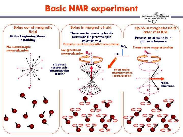 At the beginning of any NMR experiment there is nothing. There is no macroscopic magnetization, there is no precession as well.