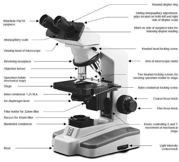 Microscopes in high schools across the